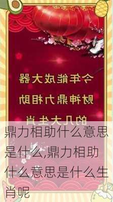 鼎力相助什么意思是什么,鼎力相助什么意思是什么生肖呢