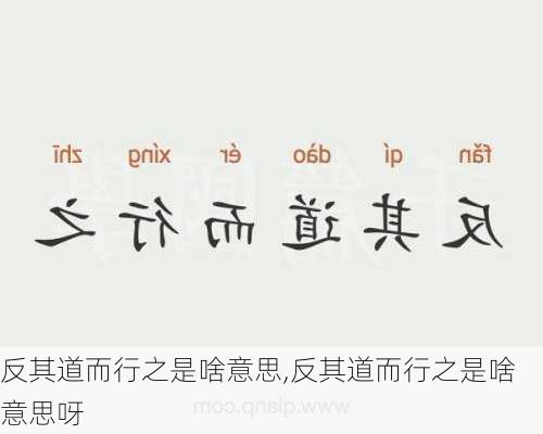 反其道而行之是啥意思,反其道而行之是啥意思呀