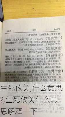 生死攸关,什么意思?,生死攸关什么意思解释一下