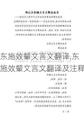 东施效颦文言文翻译,东施效颦文言文翻译及注释