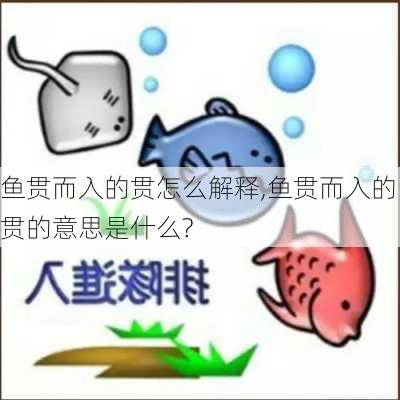 鱼贯而入的贯怎么解释,鱼贯而入的贯的意思是什么?