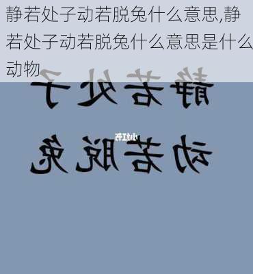 静若处子动若脱兔什么意思,静若处子动若脱兔什么意思是什么动物