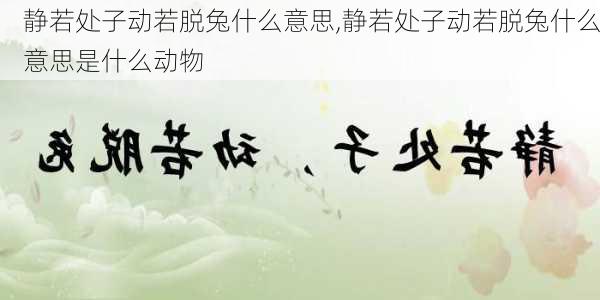 静若处子动若脱兔什么意思,静若处子动若脱兔什么意思是什么动物