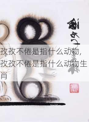 孜孜不倦是指什么动物,孜孜不倦是指什么动物生肖