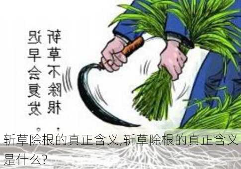 斩草除根的真正含义,斩草除根的真正含义是什么?