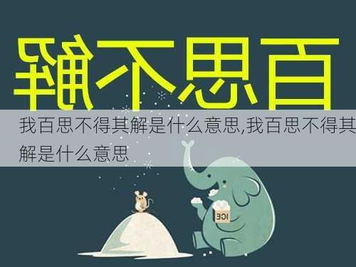 我百思不得其解是什么意思,我百思不得其解是什么意思