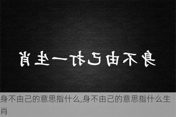 身不由己的意思指什么,身不由己的意思指什么生肖