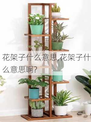 花架子什么意思,花架子什么意思啊?