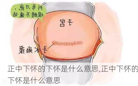 正中下怀的下怀是什么意思,正中下怀的下怀是什么意思