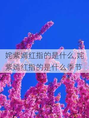 姹紫嫣红指的是什么,姹紫嫣红指的是什么季节