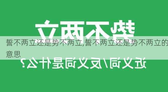 誓不两立还是势不两立,誓不两立还是势不两立的意思