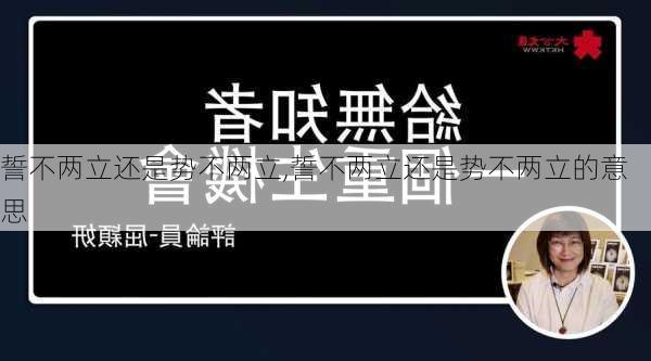 誓不两立还是势不两立,誓不两立还是势不两立的意思