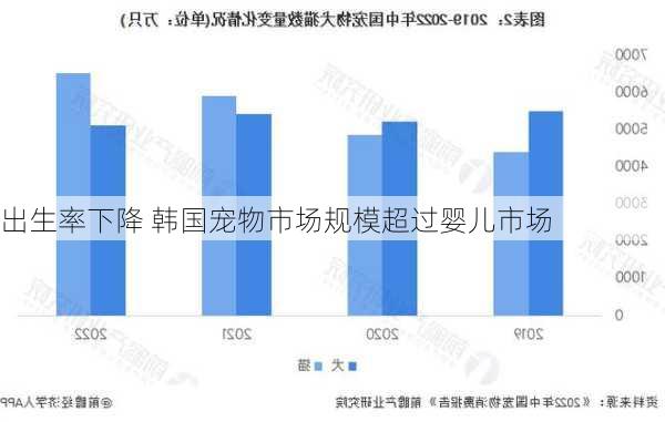 出生率下降 韩国宠物市场规模超过婴儿市场