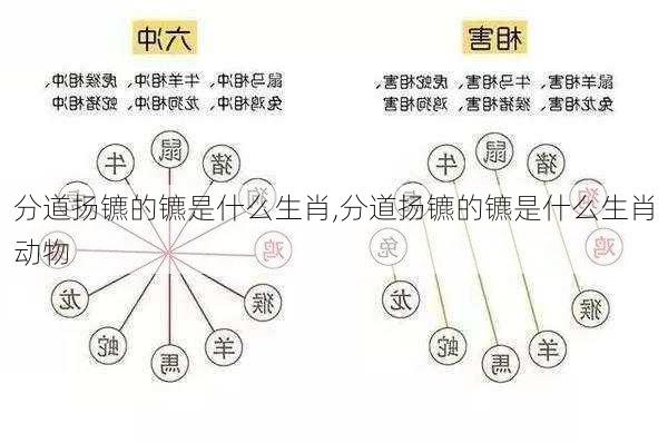 分道扬镳的镳是什么生肖,分道扬镳的镳是什么生肖动物