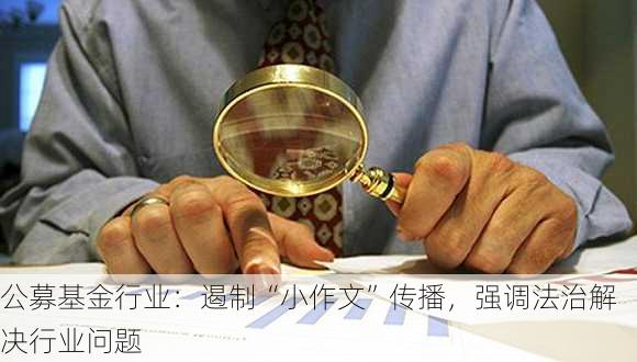 公募基金行业：遏制“小作文”传播，强调法治解决行业问题