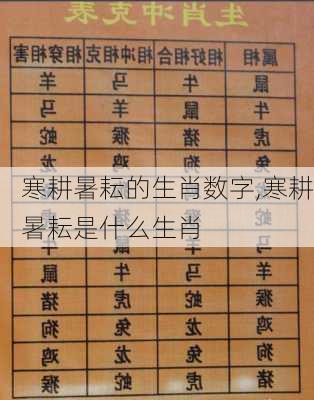 寒耕暑耘的生肖数字,寒耕暑耘是什么生肖