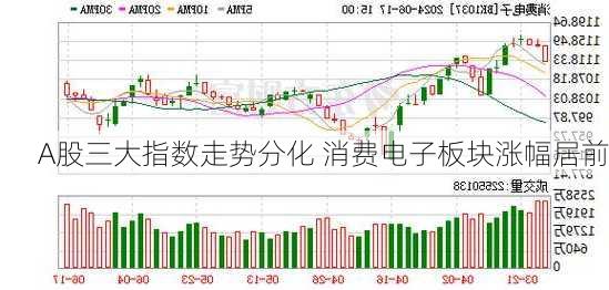 A股三大指数走势分化 消费电子板块涨幅居前