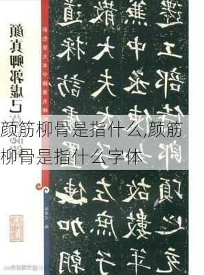 颜筋柳骨是指什么,颜筋柳骨是指什么字体