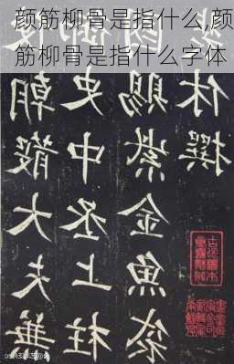 颜筋柳骨是指什么,颜筋柳骨是指什么字体