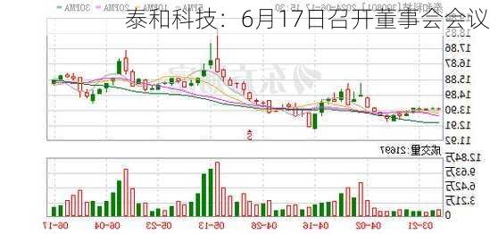 泰和科技：6月17日召开董事会会议