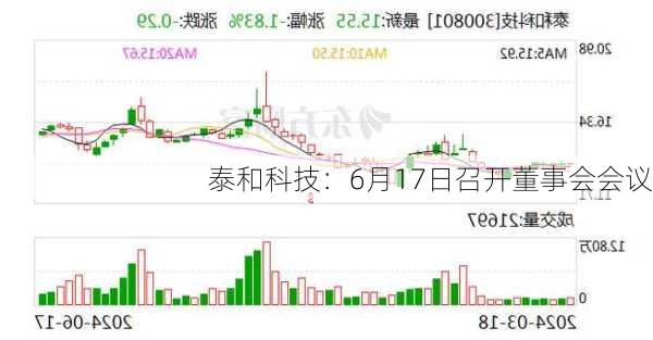 泰和科技：6月17日召开董事会会议