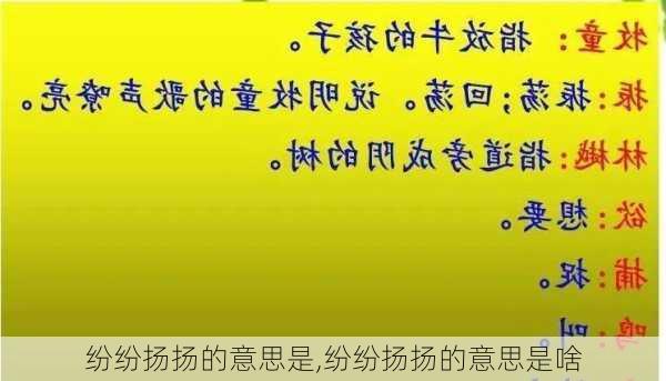 纷纷扬扬的意思是,纷纷扬扬的意思是啥