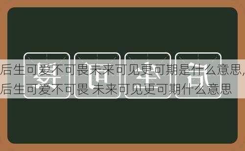 后生可爱不可畏未来可见更可期是什么意思,后生可爱不可畏 未来可见更可期什么意思