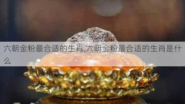 六朝金粉最合适的生肖,六朝金粉最合适的生肖是什么