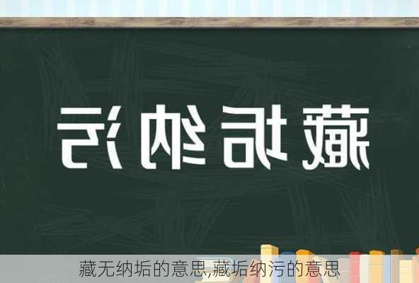 藏无纳垢的意思,藏垢纳污的意思