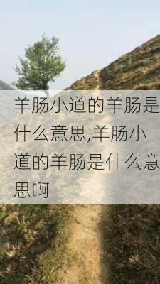 羊肠小道的羊肠是什么意思,羊肠小道的羊肠是什么意思啊