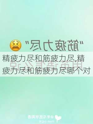 精疲力尽和筋疲力尽,精疲力尽和筋疲力尽哪个对