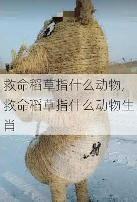 救命稻草指什么动物,救命稻草指什么动物生肖