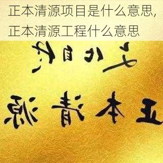 正本清源项目是什么意思,正本清源工程什么意思