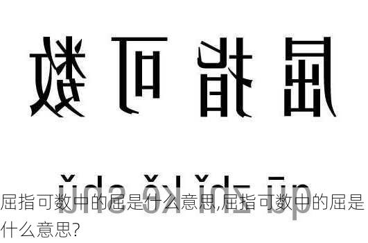 屈指可数中的屈是什么意思,屈指可数中的屈是什么意思?