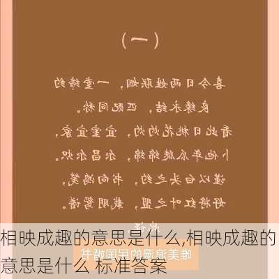 相映成趣的意思是什么,相映成趣的意思是什么 标准答案