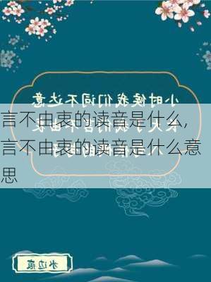 言不由衷的读音是什么,言不由衷的读音是什么意思