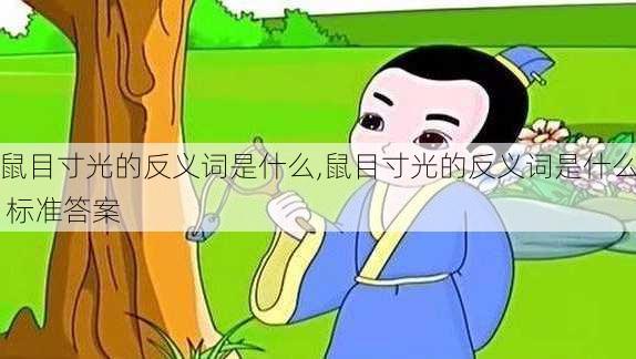 鼠目寸光的反义词是什么,鼠目寸光的反义词是什么 标准答案