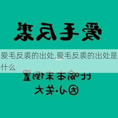 爱毛反裘的出处,爱毛反裘的出处是什么