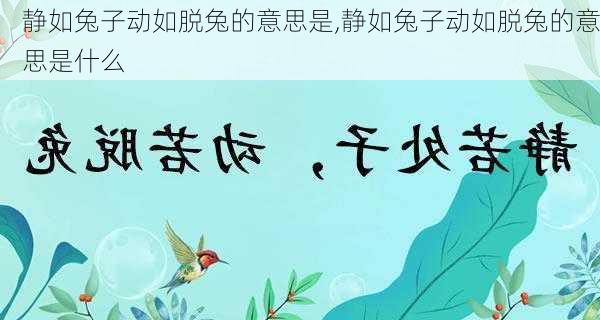 静如兔子动如脱兔的意思是,静如兔子动如脱兔的意思是什么