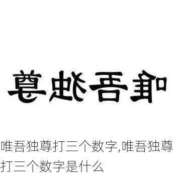 唯吾独尊打三个数字,唯吾独尊打三个数字是什么