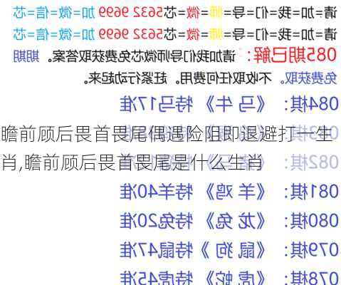 瞻前顾后畏首畏尾偶遇险阻即退避打一生肖,瞻前顾后畏首畏尾是什么生肖