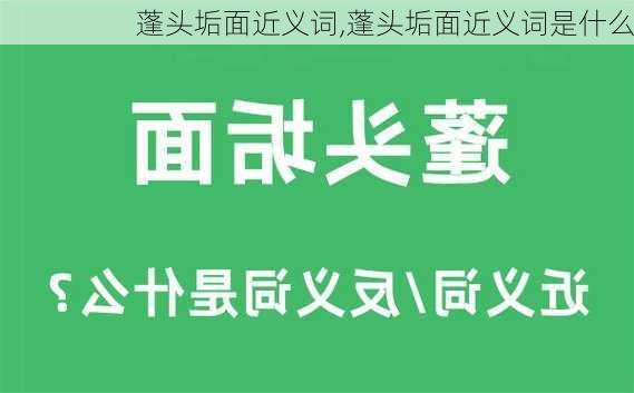 蓬头垢面近义词,蓬头垢面近义词是什么