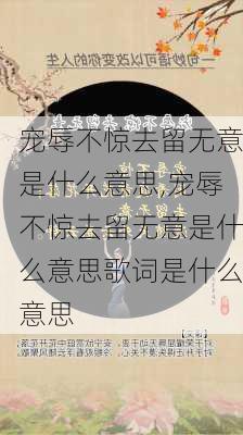 宠辱不惊去留无意是什么意思,宠辱不惊去留无意是什么意思歌词是什么意思