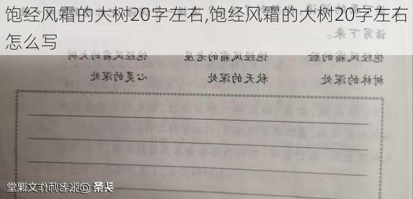 饱经风霜的大树20字左右,饱经风霜的大树20字左右怎么写