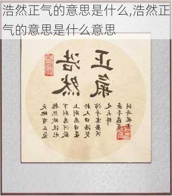 浩然正气的意思是什么,浩然正气的意思是什么意思