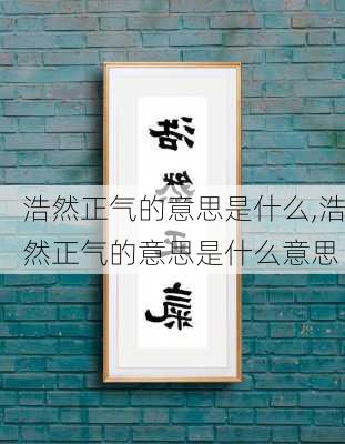 浩然正气的意思是什么,浩然正气的意思是什么意思