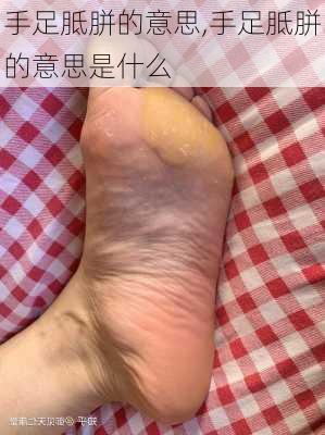 手足胝胼的意思,手足胝胼的意思是什么