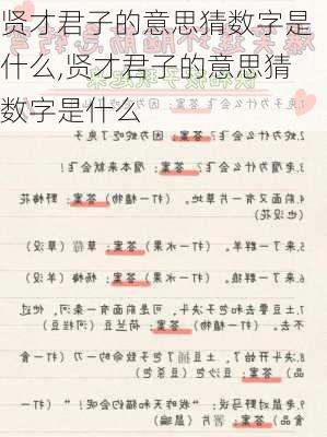 贤才君子的意思猜数字是什么,贤才君子的意思猜数字是什么