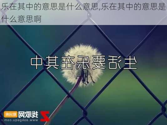 乐在其中的意思是什么意思,乐在其中的意思是什么意思啊