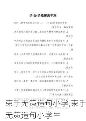 束手无策造句小学,束手无策造句小学生